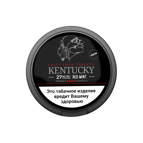 Жевательный табак KENTUCKY 5 Mint MINI